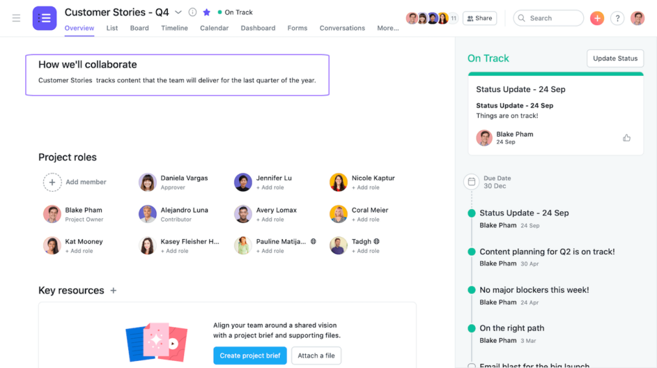 Project overview in Asana.