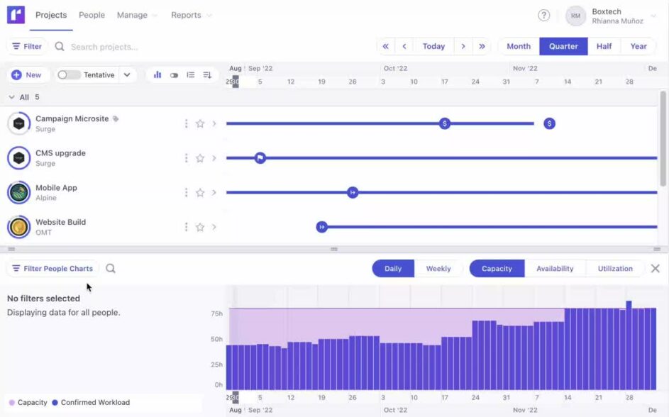 Project view in Runn.